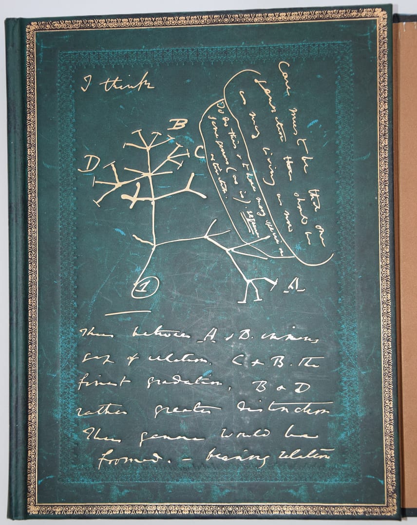Livre Or